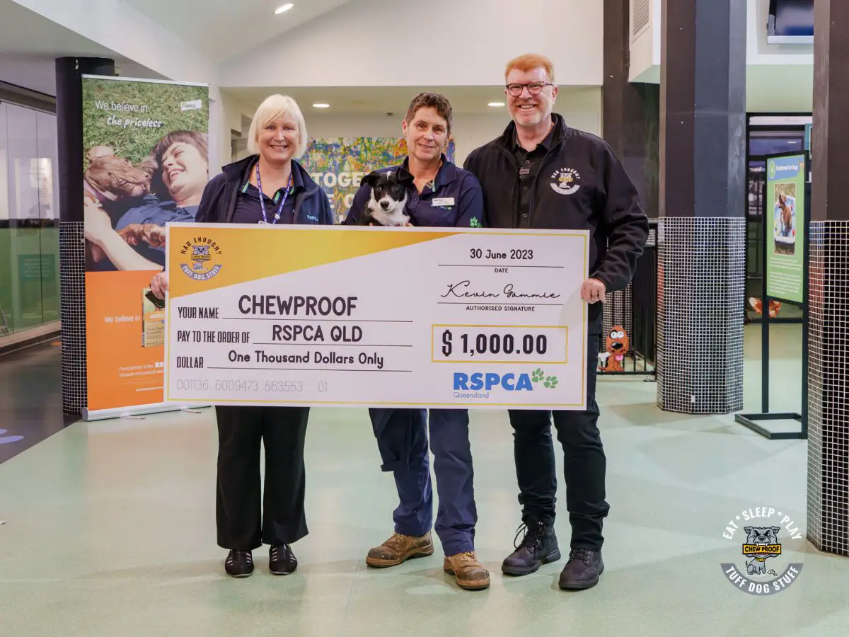 ChewProof-Supporting-Animal-Rescues-Through-RSPCA